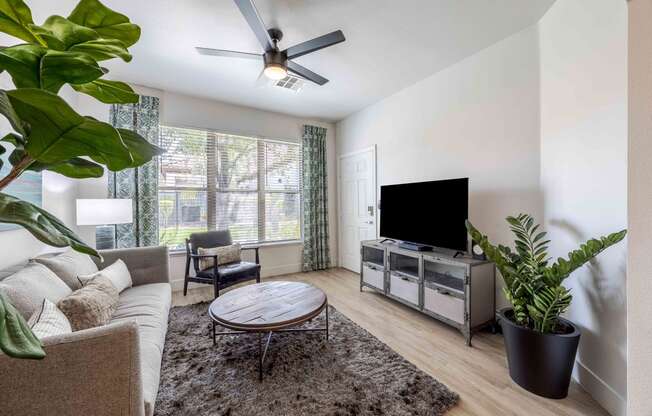 a living room with a couch and a tv