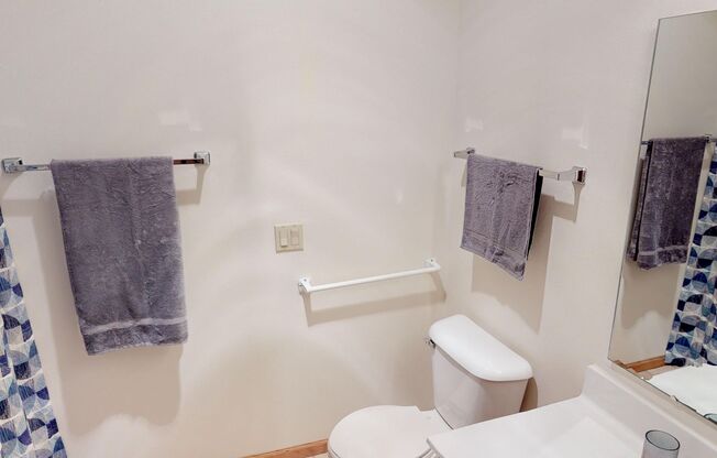 1 bed, 1 bath, 795 sqft, $1,555, Unit 2898-110
