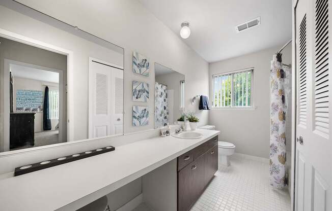 Elevated bathroom with ample storage space at Knottingham Apartments in Clinton Township, MI.