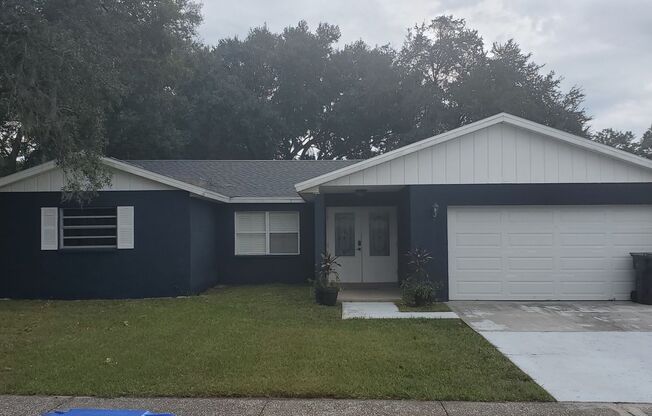Gorgeous 4-Bedroom, 2-Bathroom Pool Home in Brandon ($500 RENT CREDIT/MOVE-IN SPECIAL)