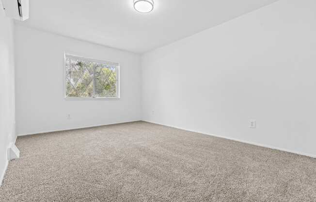 a bedroom with white walls and carpet