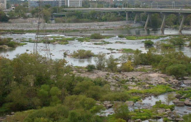 1 bed, 1 bath, $1,600