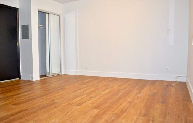 Studio, 1 bath, $1,925, Unit 203