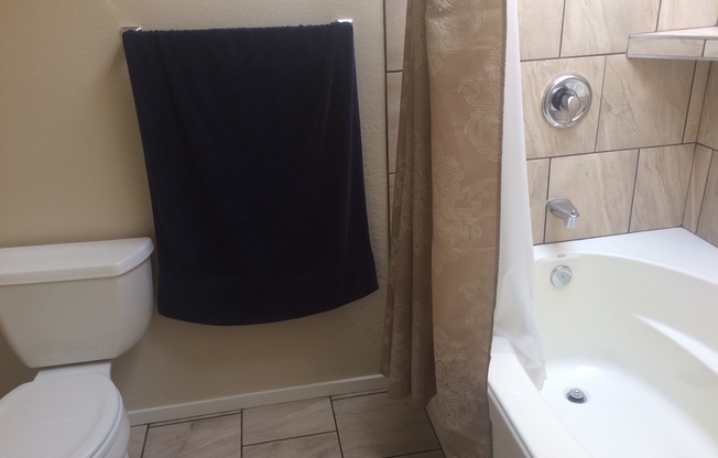 2 beds, 2 baths, $3,100