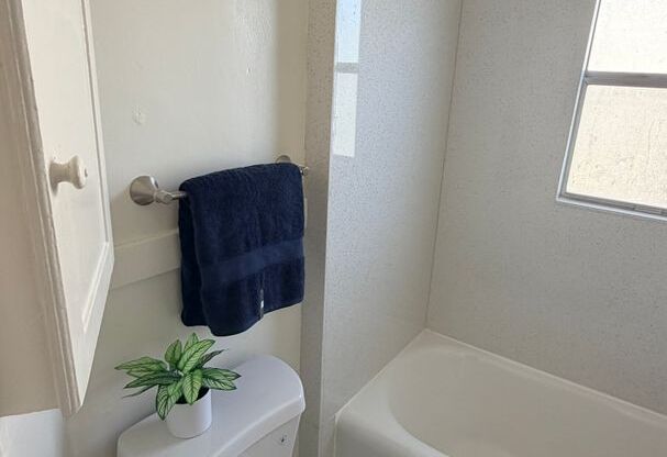 Studio, 1 bath, $1,737.08, Unit 324