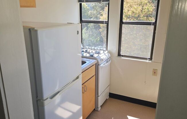 Studio, 1 bath, 234 sqft, $1,295, Unit 203