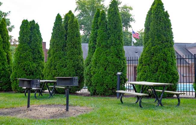 Picnic area with tables, benches, and tall green trees at Briarwood Apartments, Columbus, IN.