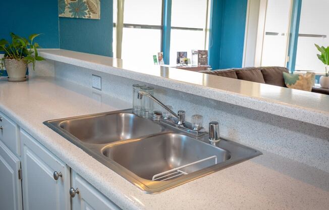 California Place Kitchen Sink in Clubhouse