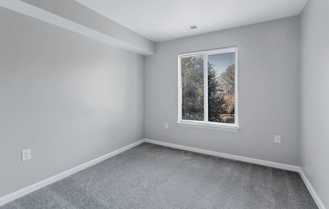 room with carpet and window in a new home