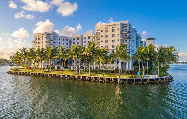 a group of palm trees in front of some buildings on the water