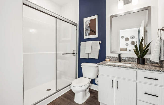 a bathroom with a shower and a sink and a toilet