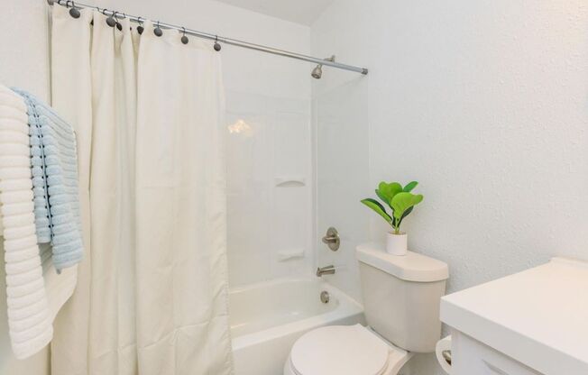 1 bed, 1 bath, 700 sqft, $775, Unit 317-C