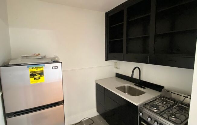 Studio, 1 bath, 300 sqft, $1,550, Unit Unit 115