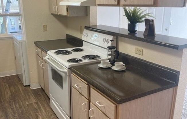 1 bed, 1 bath, 619 sqft, $1,445