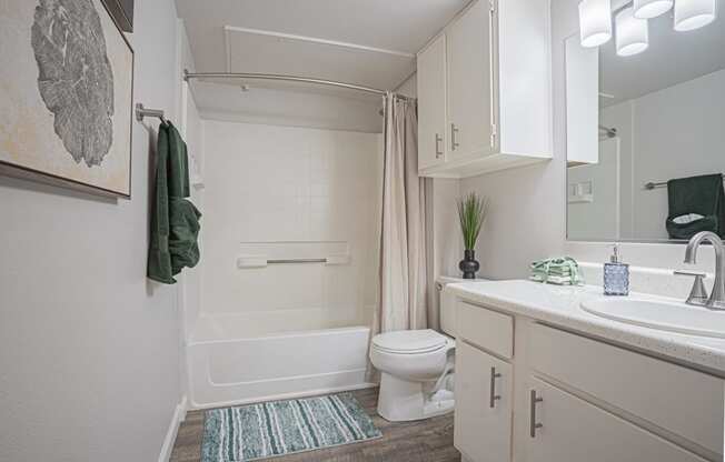 a bathroom with a shower and a sink and a toilet