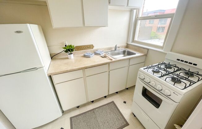 1 bed, 1 bath, 410 sqft, $1,695, Unit 303