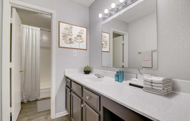 a bathroom with a sink and a mirror and a shower