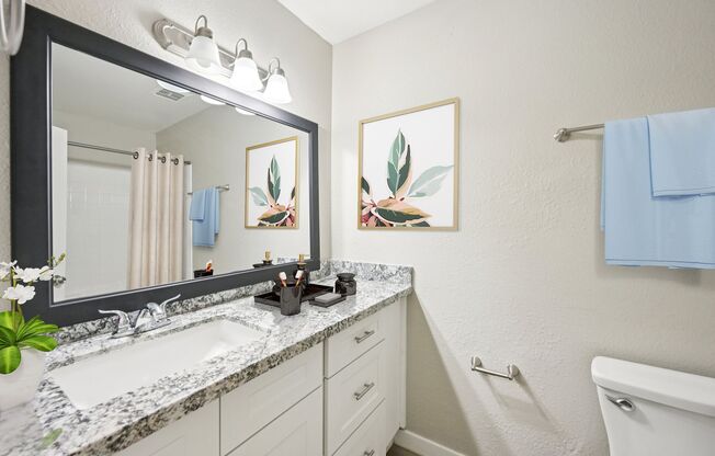 1 bed, 1 bath, 710 sqft, $1,236, Unit 2148