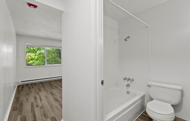 1 bed, 1 bath, 448 sqft, $1,395