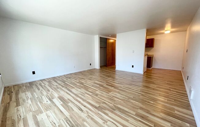 Studio, 1 bath, 464 sqft, $1,425, Unit 205