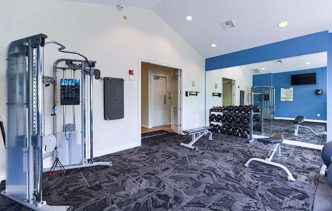 A gym with a variety of equipment including a treadmill, weights, and a bench press.