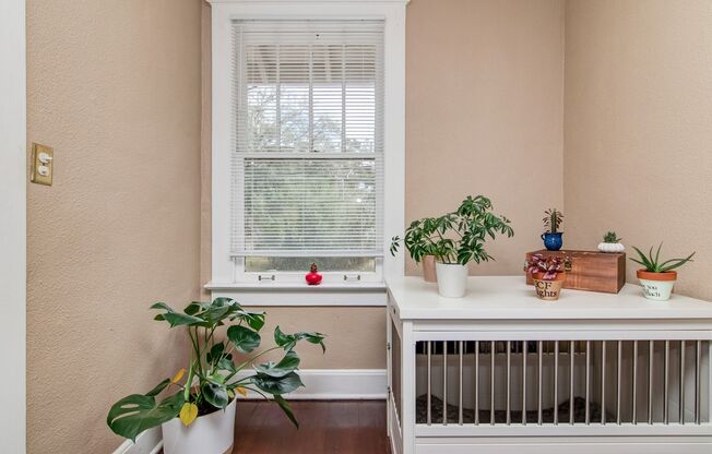 Charming 1bed/1bath Condo for rent in the Eola Heights neighborhood of Downtown Orlando!