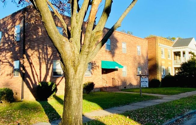 1 bed, 1 bath, $1,050, Unit Apt. B