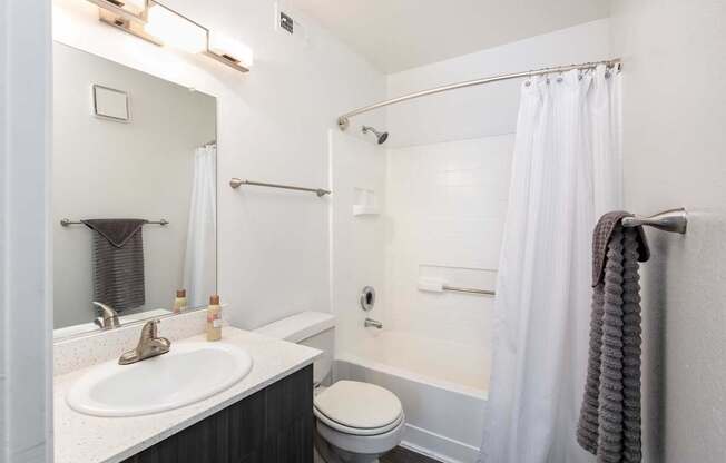 a bathroom with a sink toilet and shower and a mirror