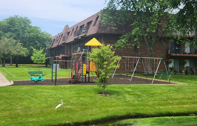 a backyard with a swing set and a bird in the grass