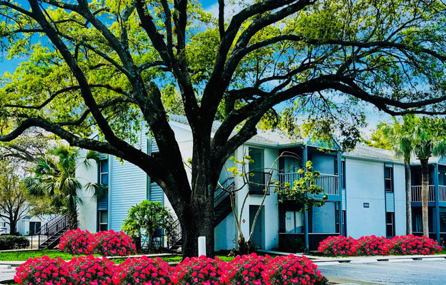 A building with a large tree in front of it at Aqua Bay Apartments in Naples, FL 34116