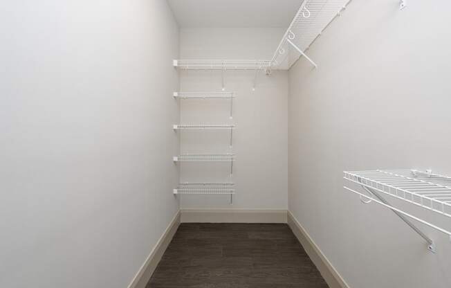 Hibernia large closet with custom shelving