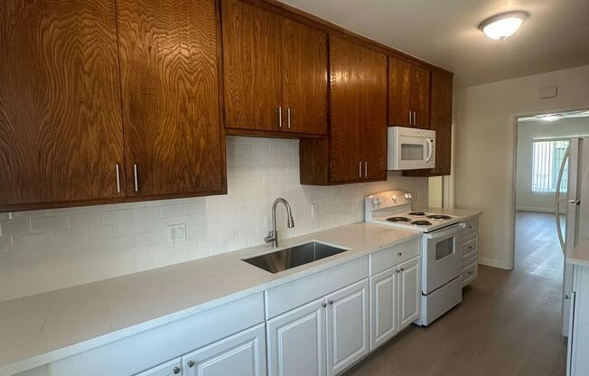 14525 Albers