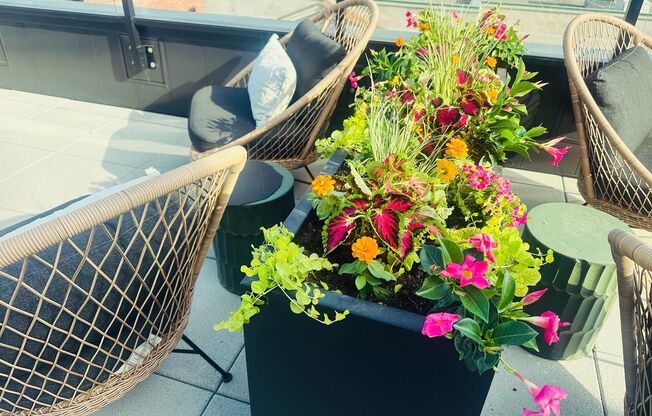 1 bed, 1 bath, 734 sqft, $2,595, Unit 318