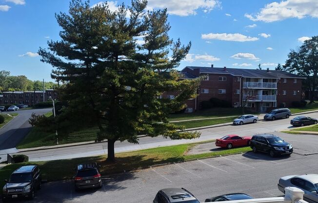 2 beds, 1 bath, 798 sqft, $1,315, Unit 4612-D