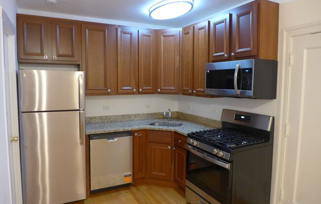 Studio, 1 bath, 300 sqft, $1,395, Unit 108