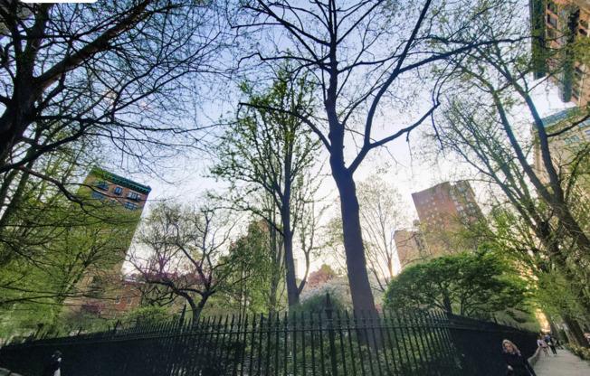 225 E 21 ST