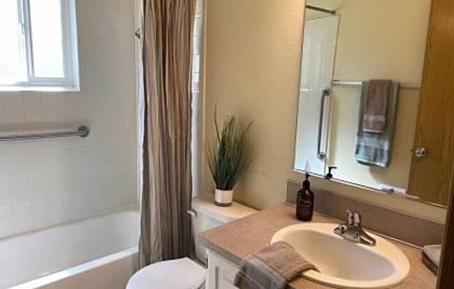 3 beds, 1 bath, 906 sqft, $1,849, Unit 15