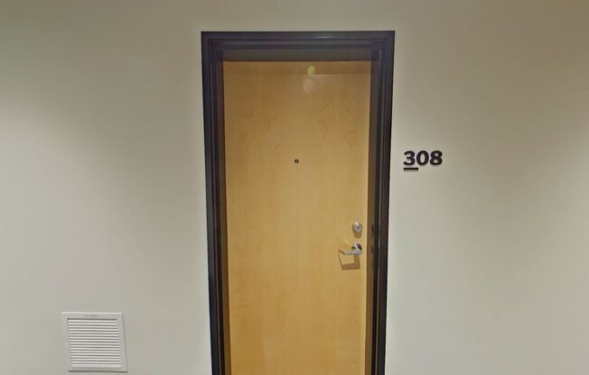 Studio, 1 bath, 314 sqft, $1,250, Unit 308