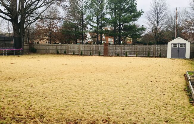 Perfect Collierville Location. Large fenced in back yard. Over 3300 sq ft of living space.