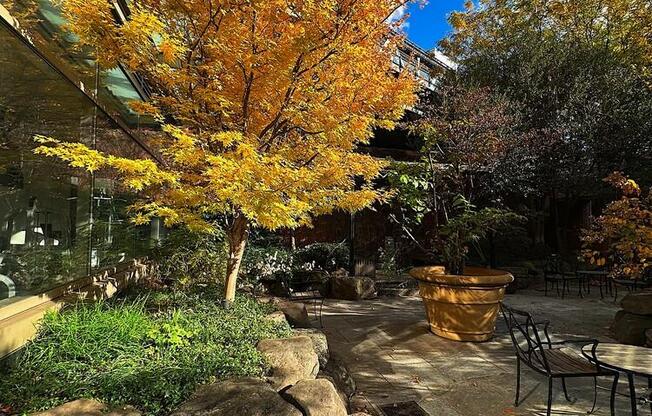 1 bed, 1 bath, 847 sqft, $5,200, Unit 4C