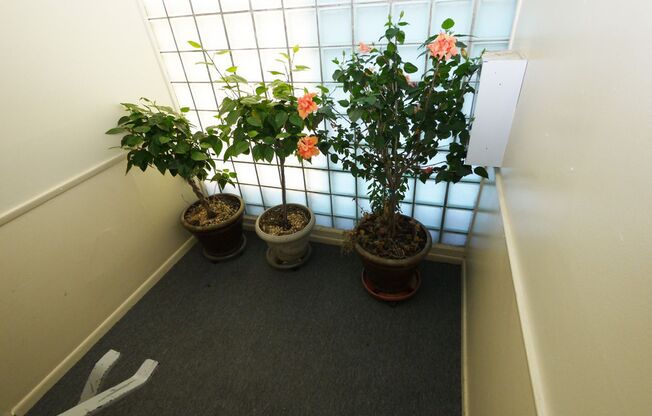1 bed, 1 bath, 800 sqft, $1,000, Unit H3 (1BR)