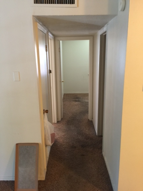 2 beds, 1 bath, 734 sqft, $825, Unit 36