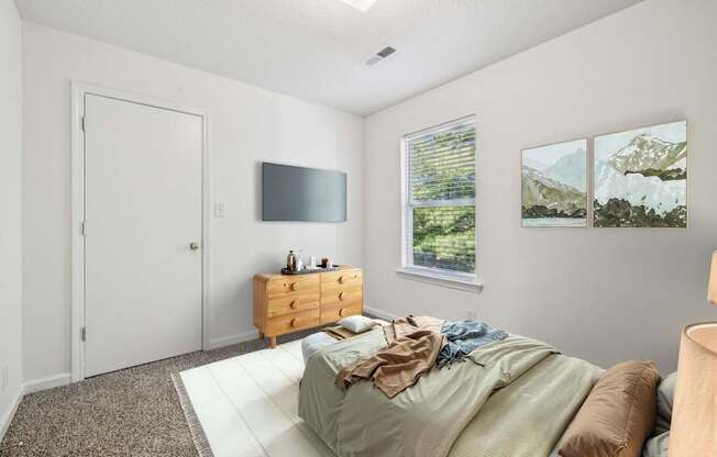 Bedroom with Plush Carpeting