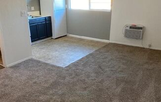 Studio, 1 bath, 380 sqft, $795, Unit 201