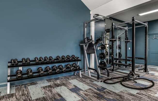 a gym with weights and a rack of dumbbells