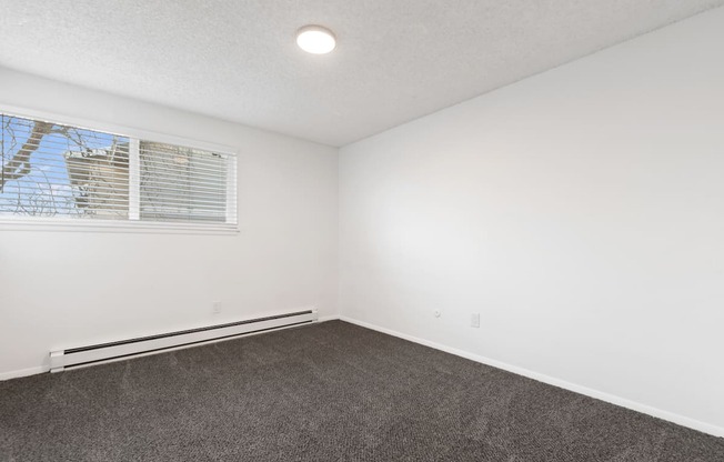 an empty room with carpet and a window