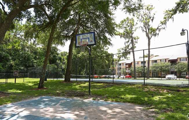 A basketball court surrounded by trees and a fence.