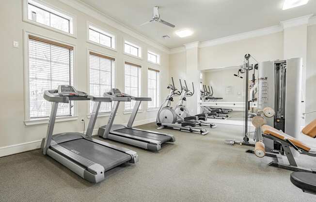 the gym with treadmills and other fitness equipment and windows