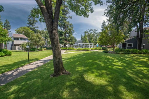 Willow Grove grassy landscape with a tree and a sidewalk