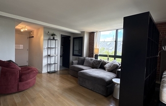 1 bed, 1 bath, 505 sqft, $2,700, Unit 1501